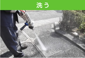 洗う